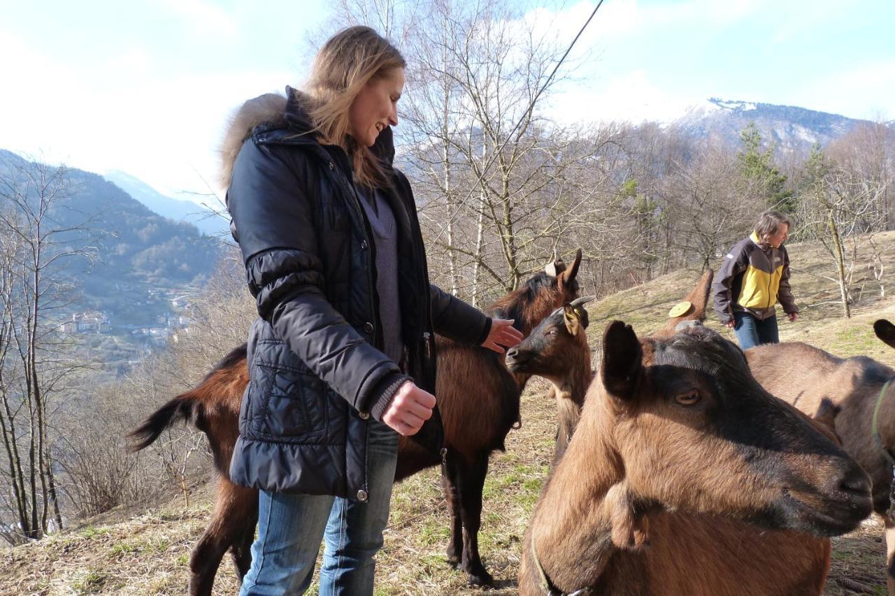 Agriturismo La Meta Pieve di Bono Екстер'єр фото